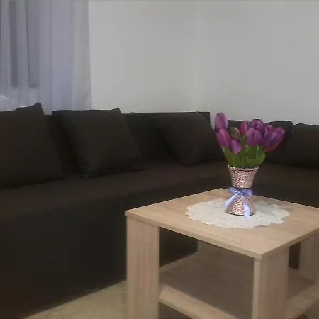 Borosa Apartment *