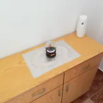 شقة Borosa *