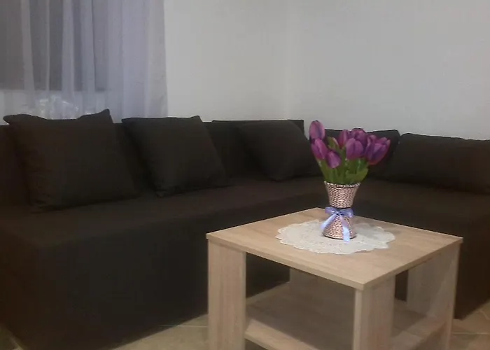 Borosa Apartment *