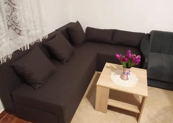 Borosa *